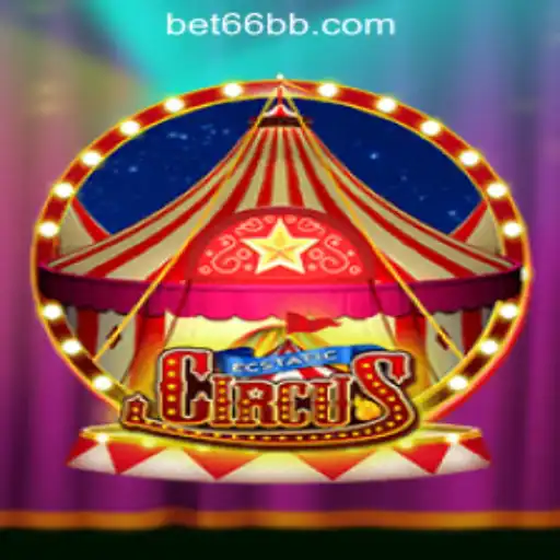 66BB Oficial Slots Brasil #1 Live Games